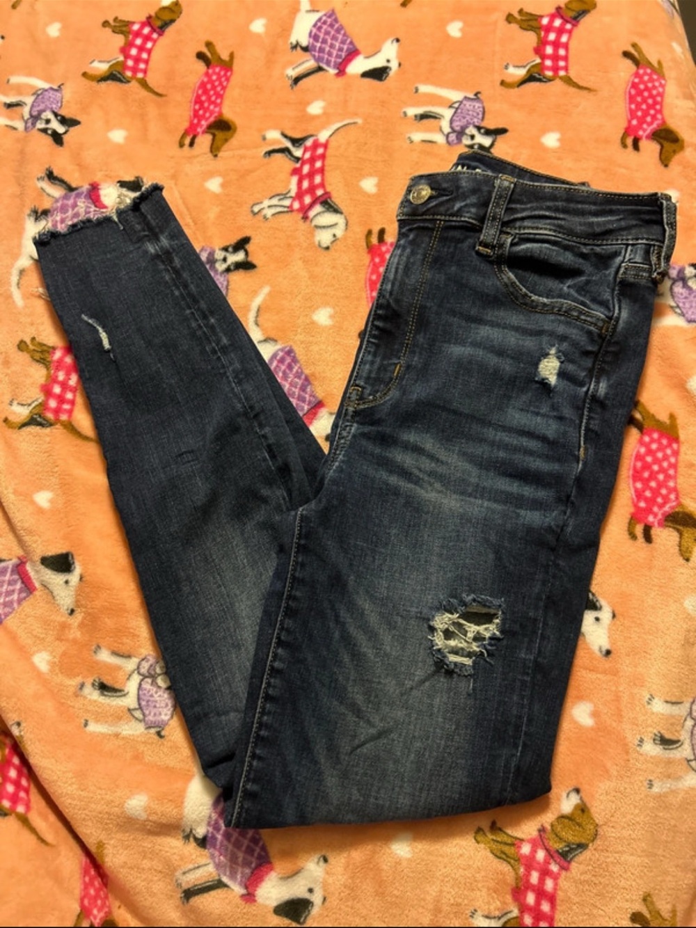American Eagle Outfitters Dark Indigo Distressed Skinny Jeans